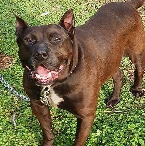 Meet your Posher, Randale